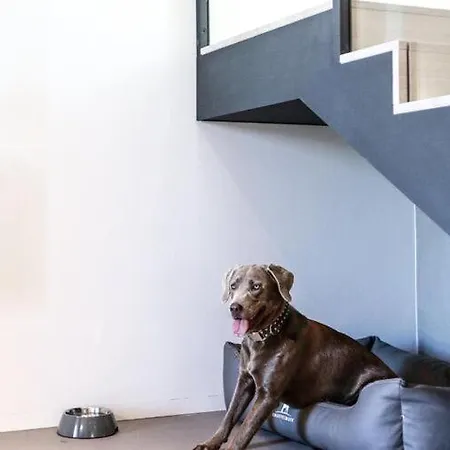 Exklusives Auf Fehmarn *