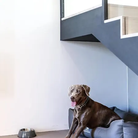 Exklusives Auf Fehmarn