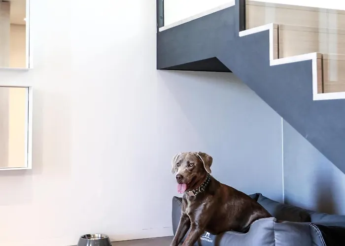 Exklusives Auf Fehmarn